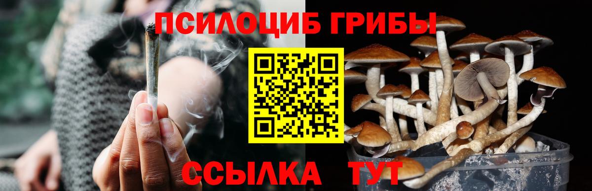 Галлюциногенные грибы прущие грибы Десногорск